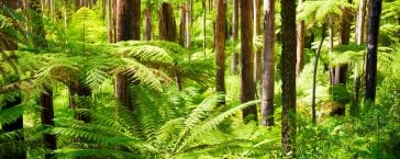 Earthwise Project (500 x 440 px).jpgProject 364x145