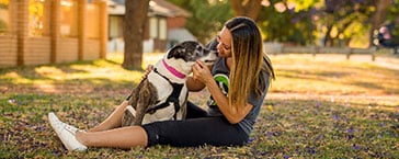 PetRescue_Image_LP_364x145